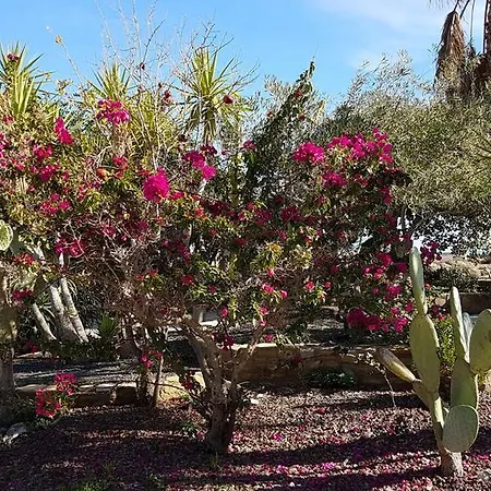 Cortijo De Don Victor * مْبيرا